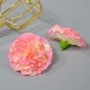 rosa 3