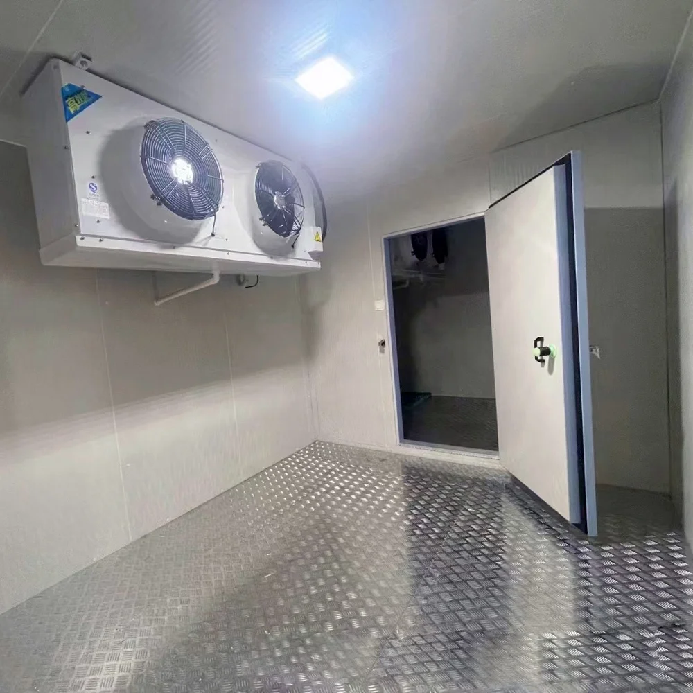 Portable Freezer Container 20ft Cold Storage Room Outside Walking Freezer Container 20ft Cold Storage Room