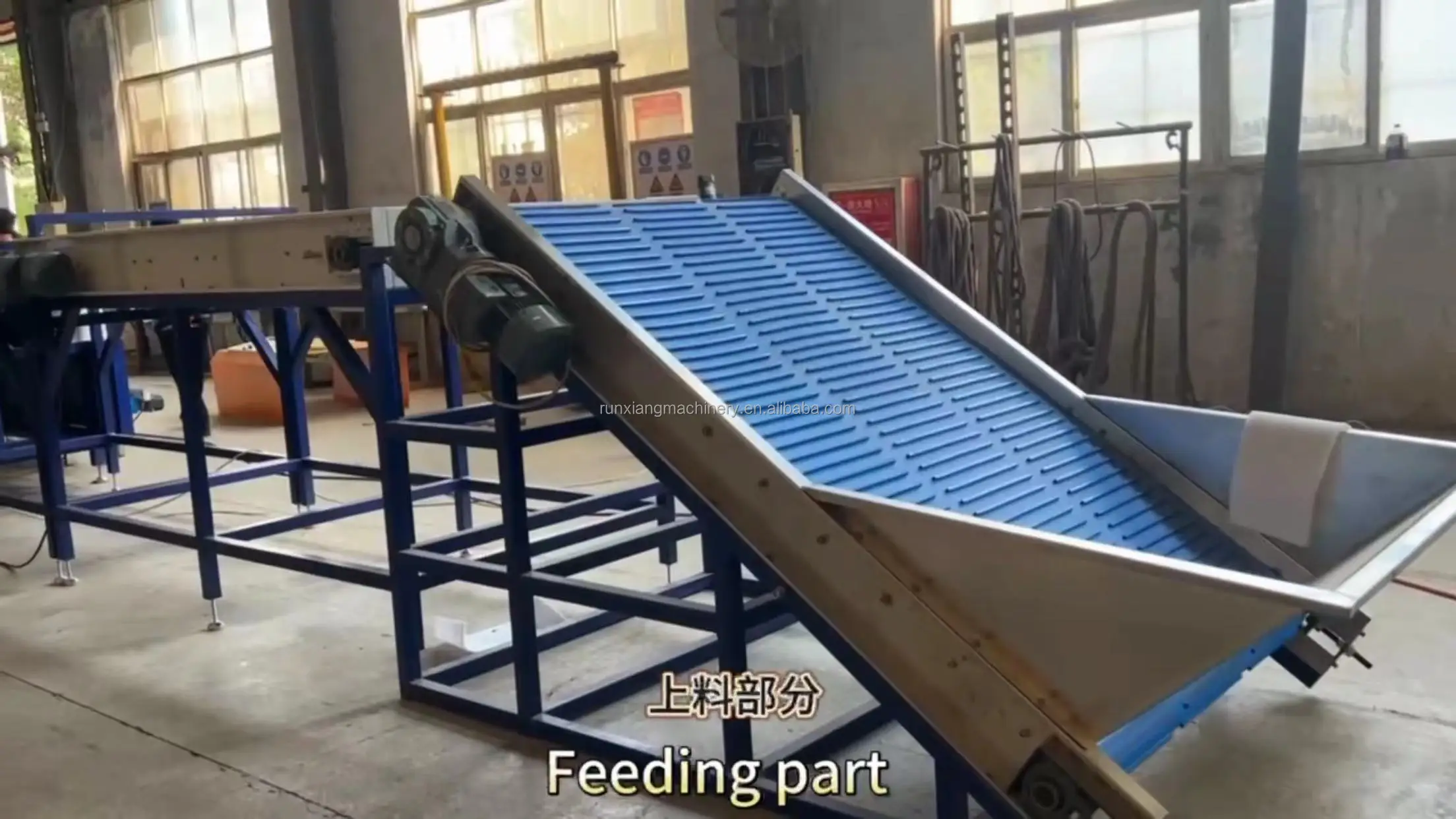 Automatic Dates Grading Sorting Machine - Medjool Dates