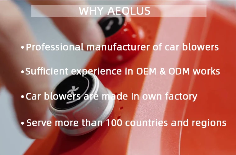 Car Wash Dryer Water Air Blowing Dual Motor 2400w Car Washing Dryer