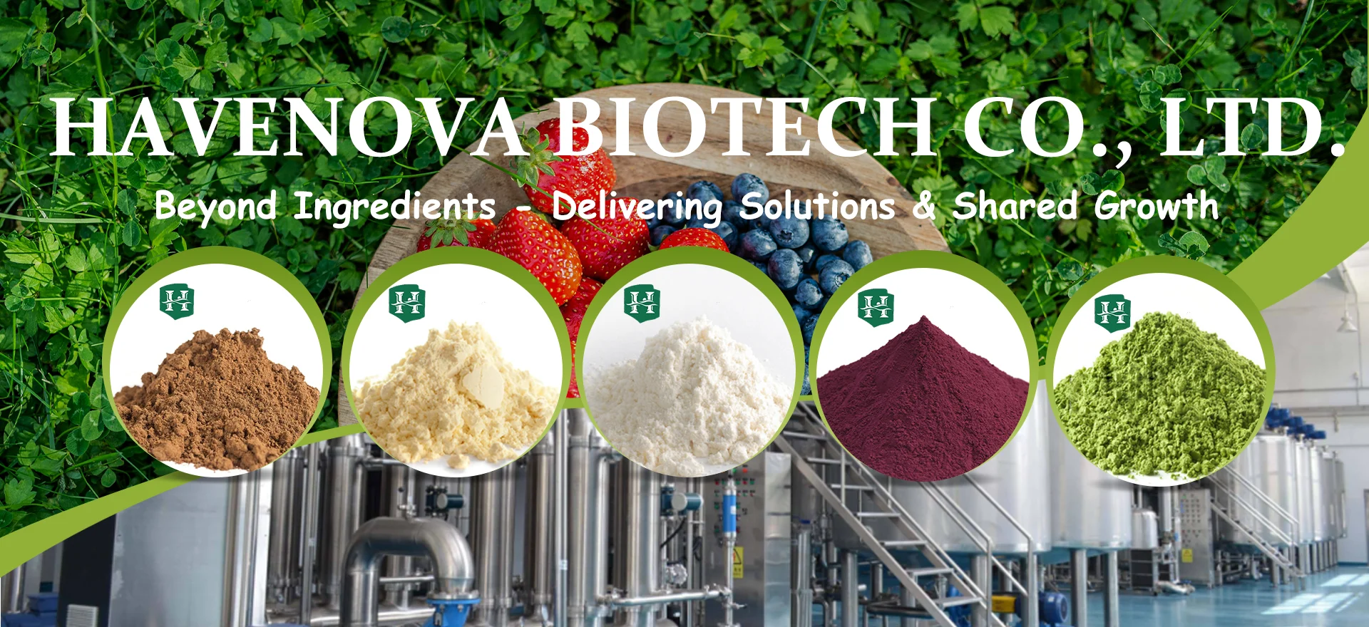 100% Acai Berry Extract Powder Anthocyanin Acai Berry Juice Powder ...