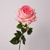 rose profond
