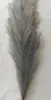 Grigio scuro