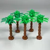 5 pequeños cocoteros