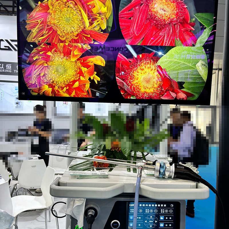 「近畿 Live Endoscopy 2015-2016[DVD付] 金原出版