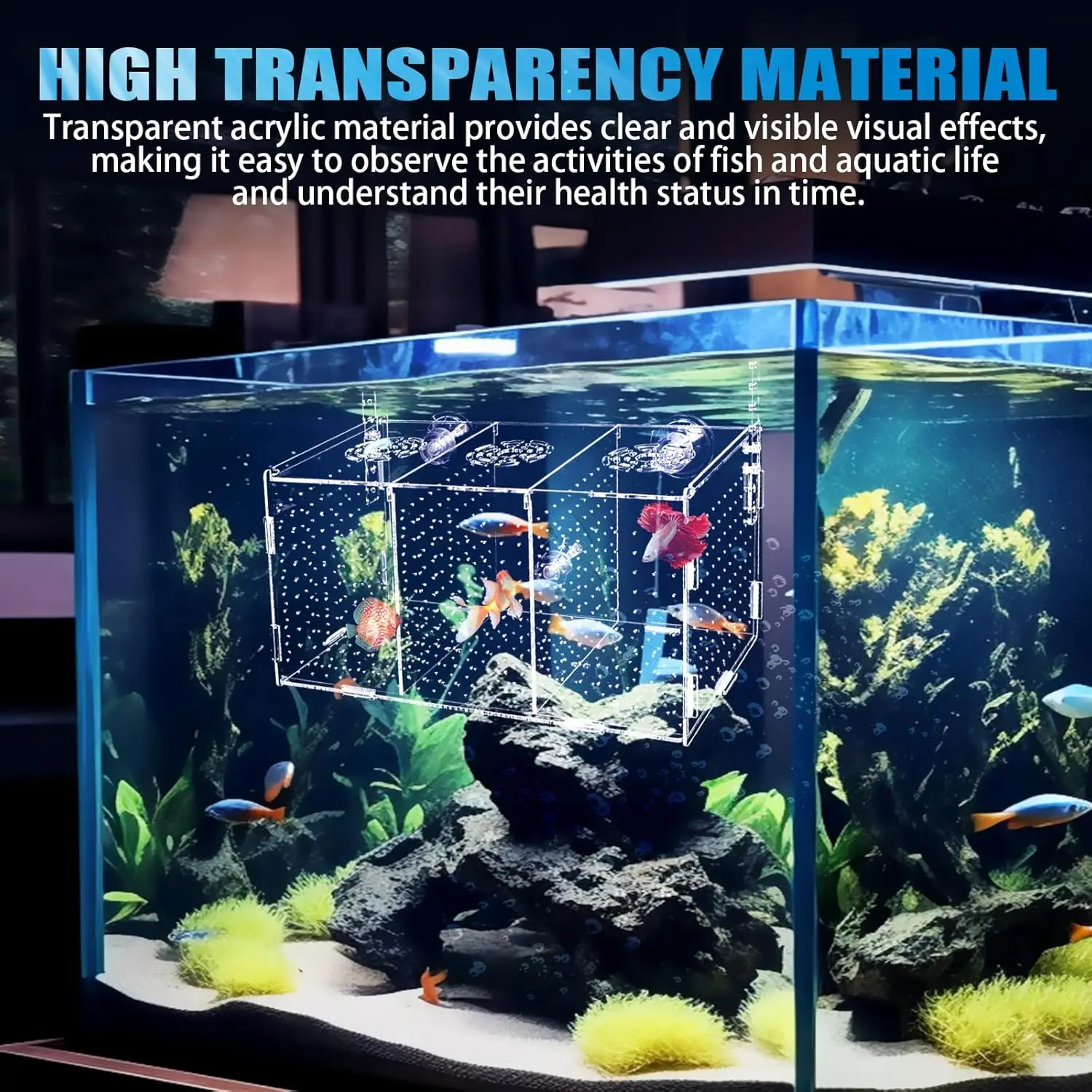 Free Sample Fish Breeding Box Acrylic Fish Aquarium Hatchery Incubator With Suction Cups Fish Accessories Isolation Box