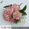 7-headed carnations XC, white and pink