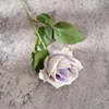 สีม่วงอ่อน