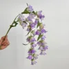 Campanula Viola