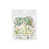 E lily of the valley