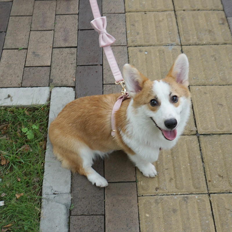 dog harness velvet (1)