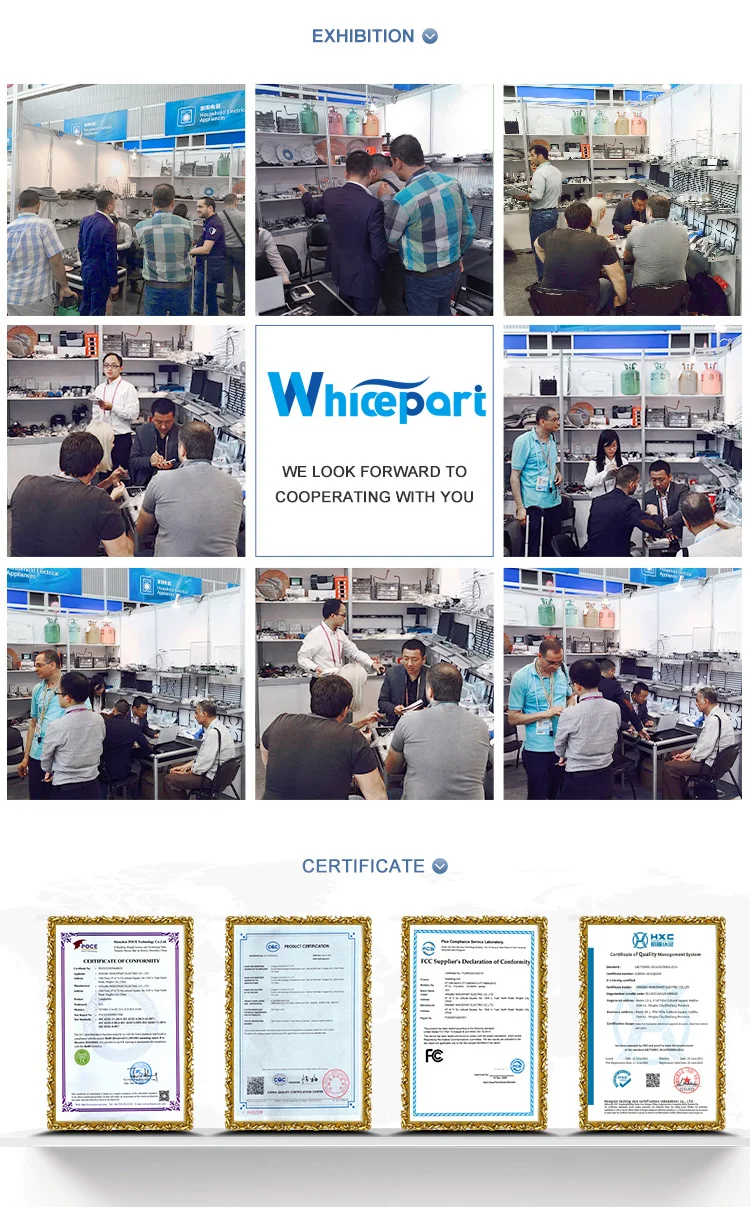 R134a 1/3hp Chest Freezer Compressor Ak318h Refrigeration Compressor