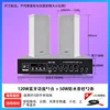 [Special Offer] 50W Power Amplifier with Column Speakers x2