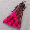 Fascio singolo (luce intensa) ~ rosa rossa