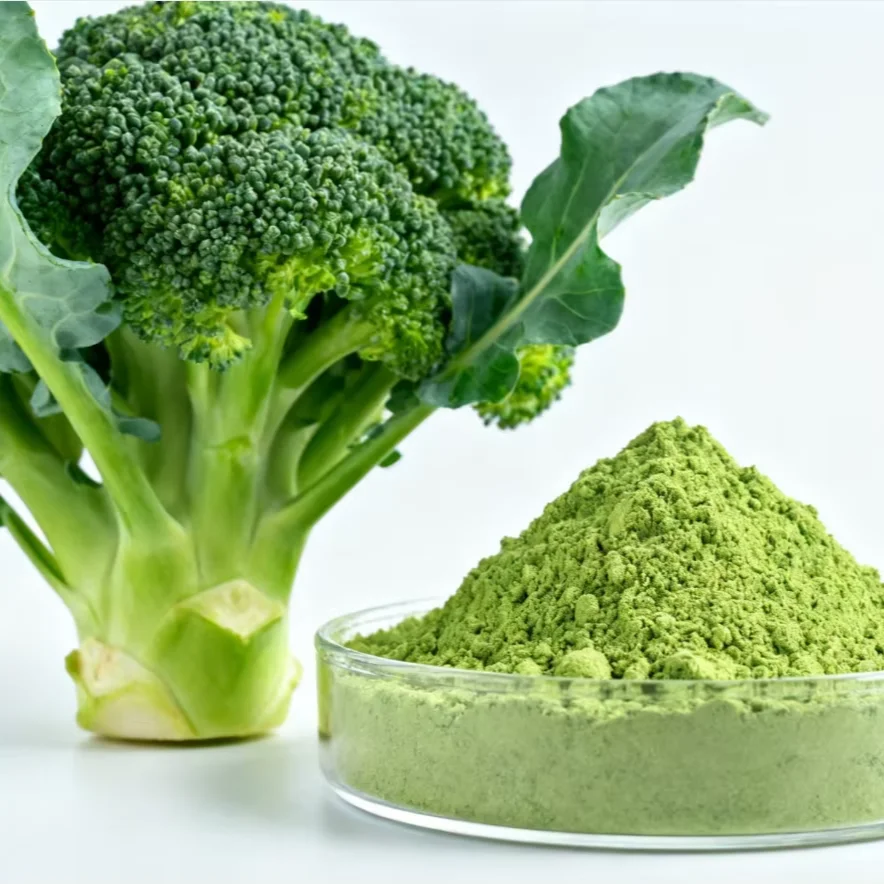 Broccoli Powder Wholesale | Bulk Broccoli Supplier Hb874c64d80c84a28822d446b8f9443a7G