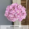 Endless Summer - Pinkish Purple