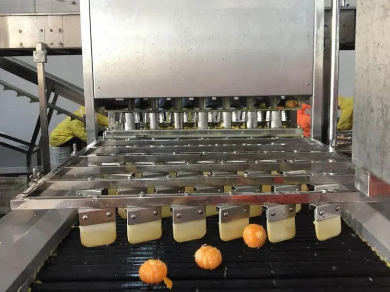 Industrial Automatic Tangerine Juice Making Extractor Machine Maker