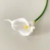 Núcleo Blanco Amarillo