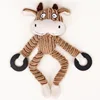 mucca