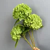 HH-Verde