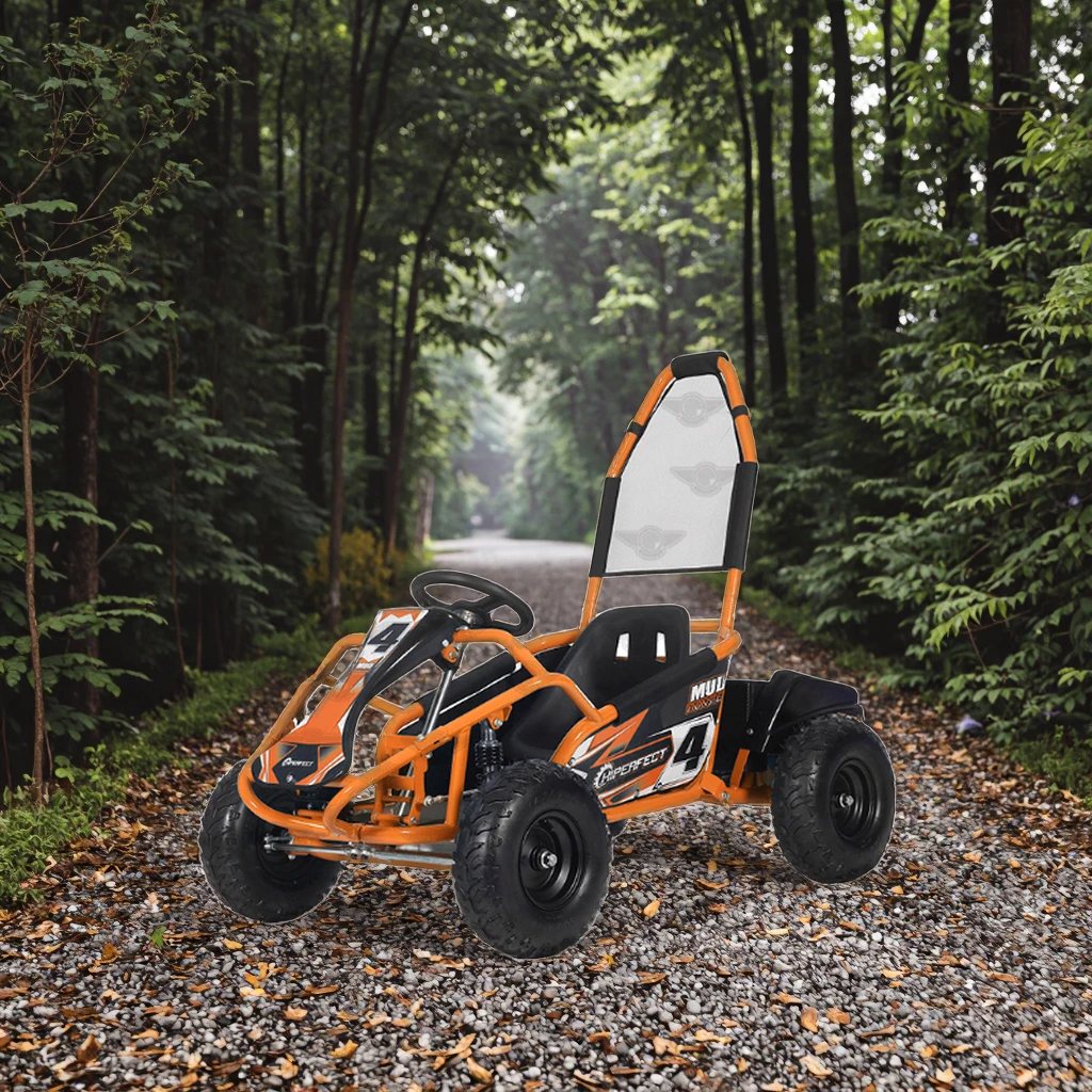 48V 1000W Brushless Motor Mini Electric Go Kart for Kids Race Kart & Buggy Karting Car Big Power Best Choice