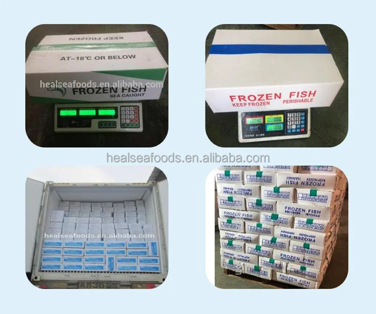 Fresh Fish Boneless Treatment Rock Sole Flounder Frozen Flatfish