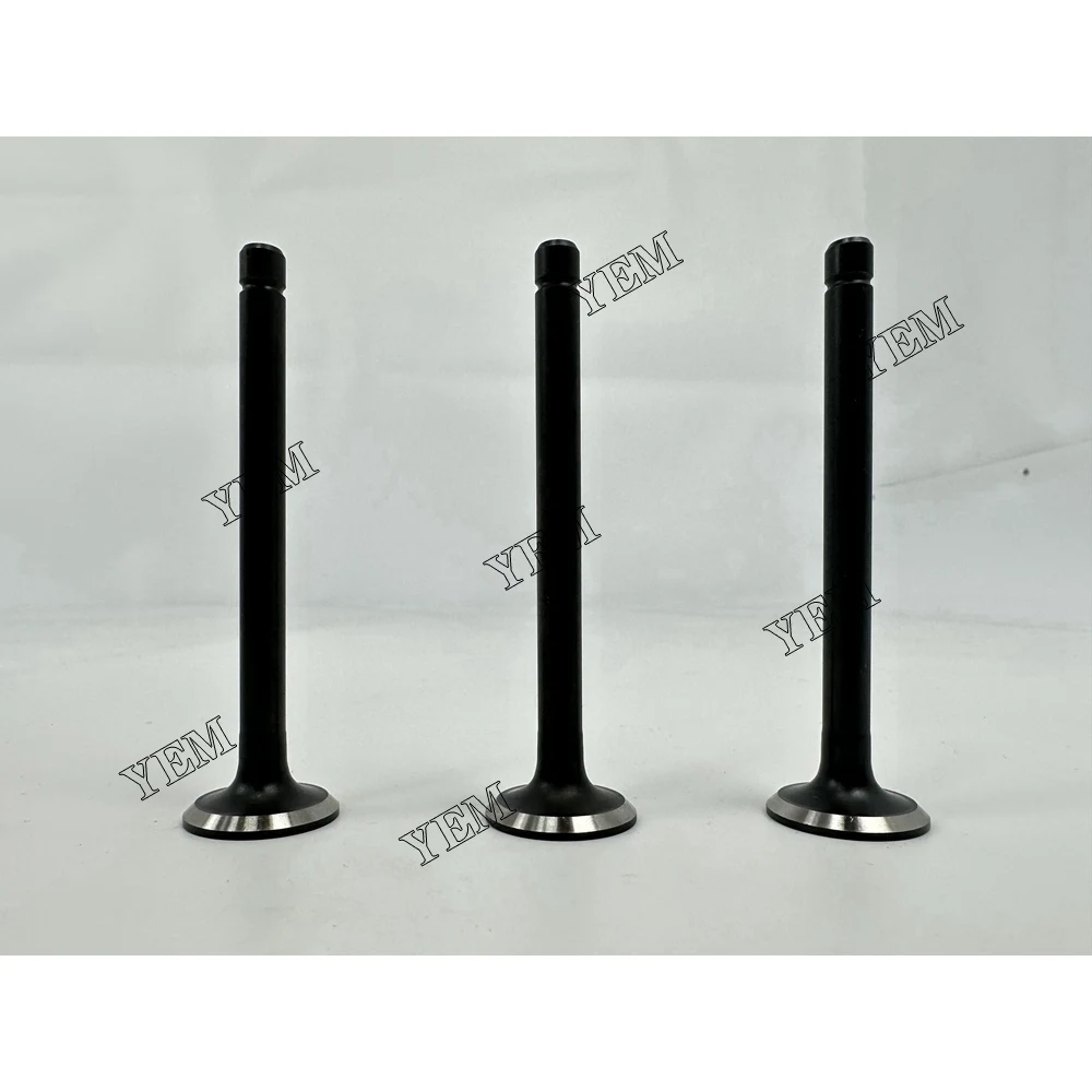 Exhaust Valve for Kubota D1302 Engine Parts Factory