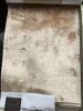Beige-6