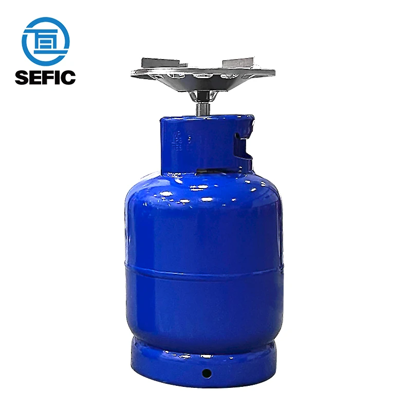 Cylinder Price 5kg Propane Gas Tank BP Gaslight Propane Canister Kg