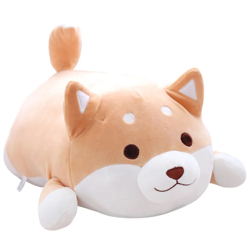 cute fat shiba