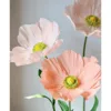 Coquelicot couleur champagne profond coeur de fleur profond sans poteau
