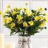 Daisy002