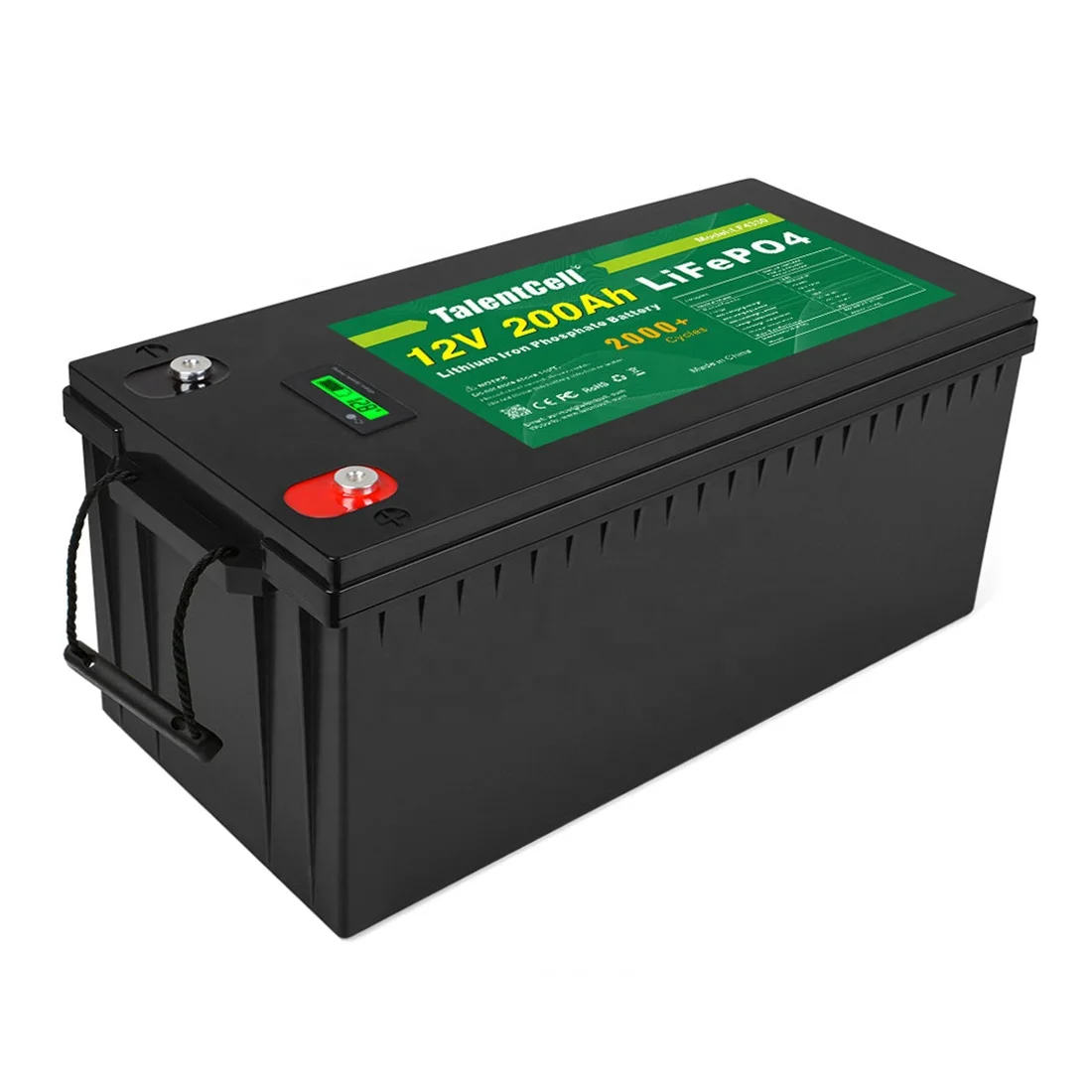 RV Boat Marine Solar Rechargeable Deep Cycle Lithium Ion 100Ah 200Ah Lifepo4 Battery Pack With BMS