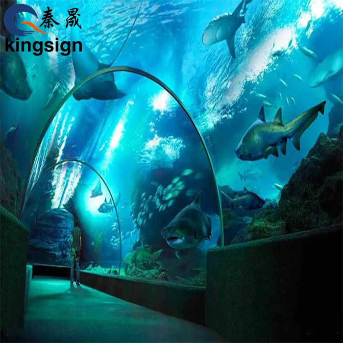 Kingsign Customized Size Acrylic Sheet for Aquarium Ocean Tunnel