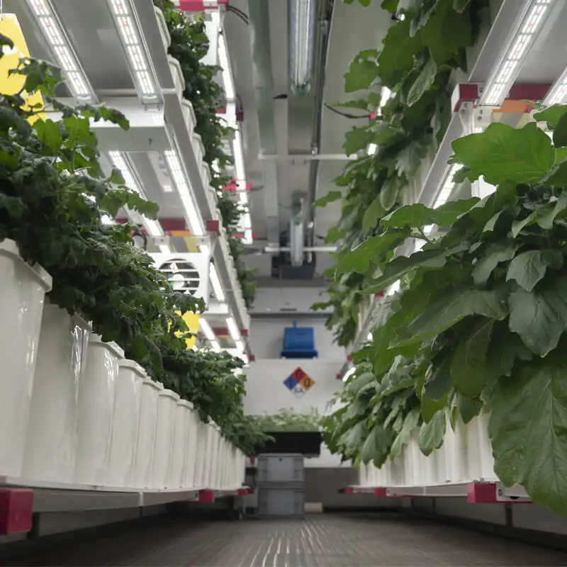 Smart Climate Control Growing Box Climate Chamber Vertical Aeroponic Farming Smart Farm System