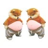 Shiba Inu
