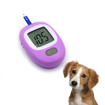 BERRY Blood Glucose Test Strips Veterinary Instrument Without Meter for Glucose Meter