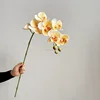 Arancione