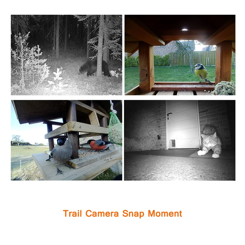 Willfine 4.0 CG MMS GSM 4G LTE Cellular Outdoor Hunting Camera Wireless Trail Camera