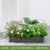 hc-X60-1 is suitable for 60cm flower boxes