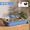 Haitianlan [Pet Hermit Crab] comes with a free fountain pump