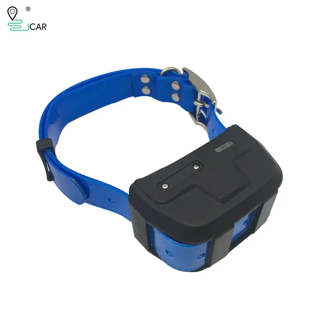 Авито ошейники gps для собак. Gps ошейник ik122 pro. ik122 pro gps.