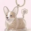 White Corgi-style prone pose
