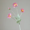ROSSO VIOLA CHIARO