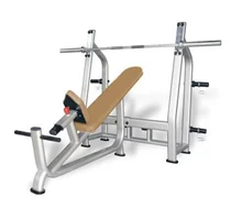 Hot Selling Chest Exercise Indoor Gym Machine Incline Bench Press Frame RUIBU-A036 Bodybuilding Unisex Fitness Center Optional