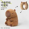 Capybara long fur