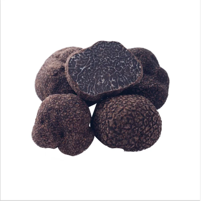 Hei Song Lu Top Grade Wild Fresh Dried Whole Black Truffle Mushroom Price