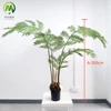 Un verde da 200 cm