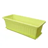 Citron