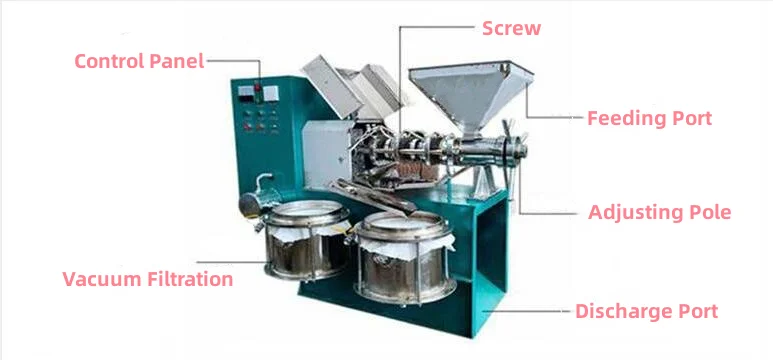 Easy Operation Commercial Automatic Rapeseeds Peanut Sunflower Combined Oil Press Machine